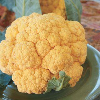 Cauliflower Thumbnail